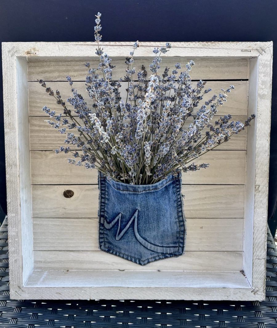 Dried lavender bundles in a denim pocket